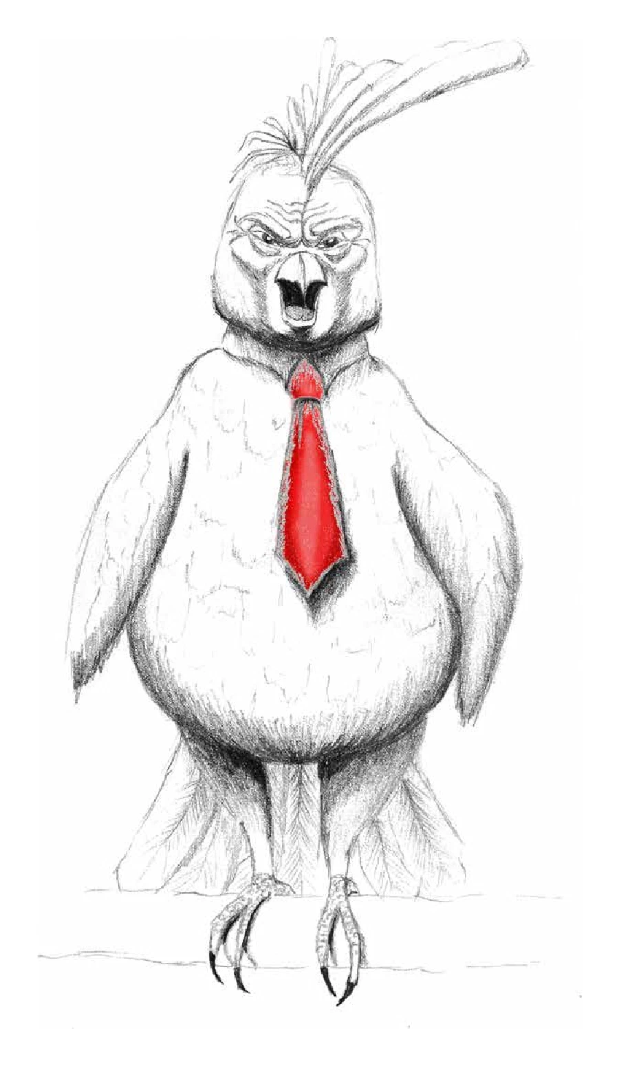 Cover illustration: an angry cockatoo in a red tie