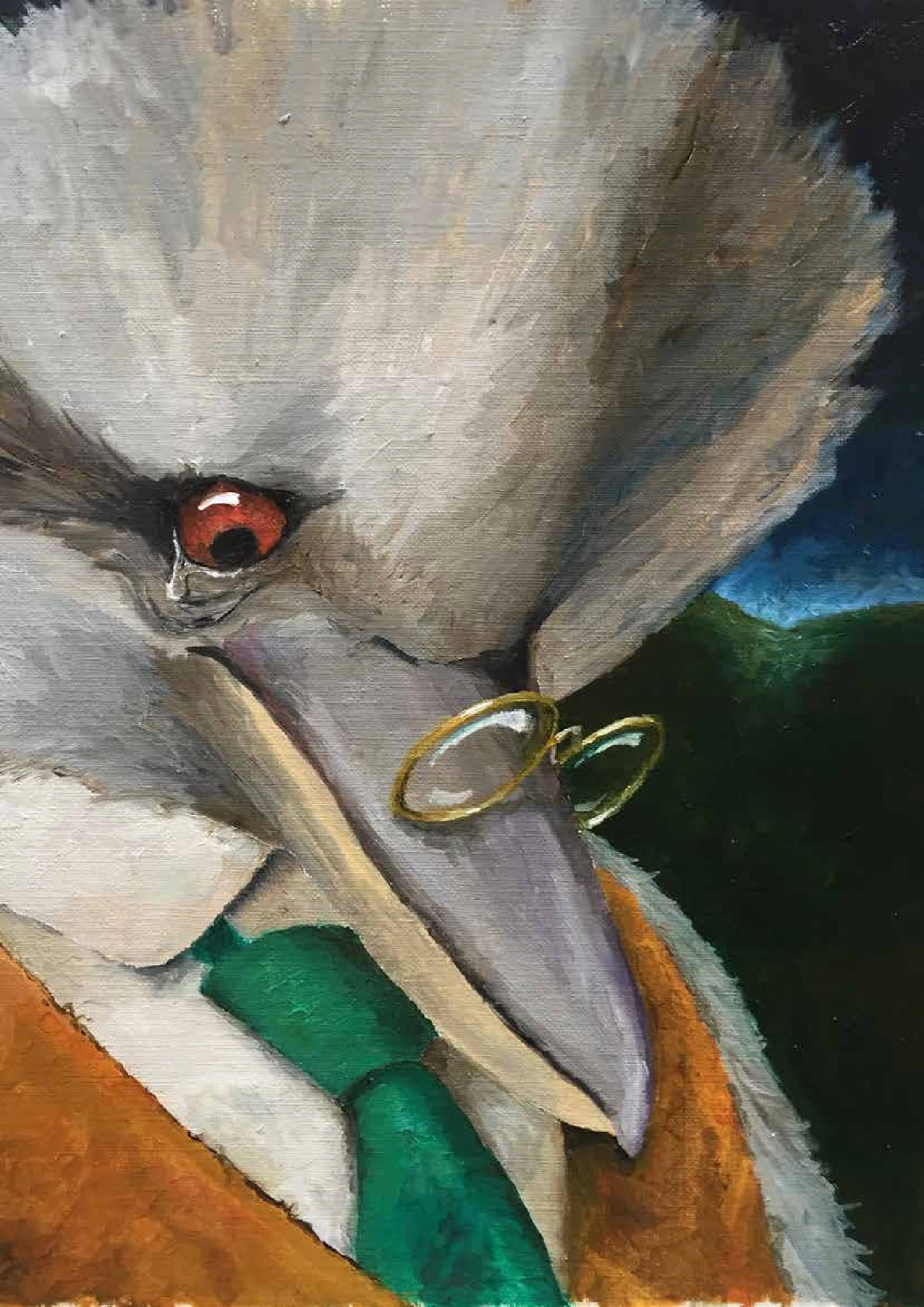 A close-up of the kookaburra's wise, weary face, his pince-nez slipping down his beak.