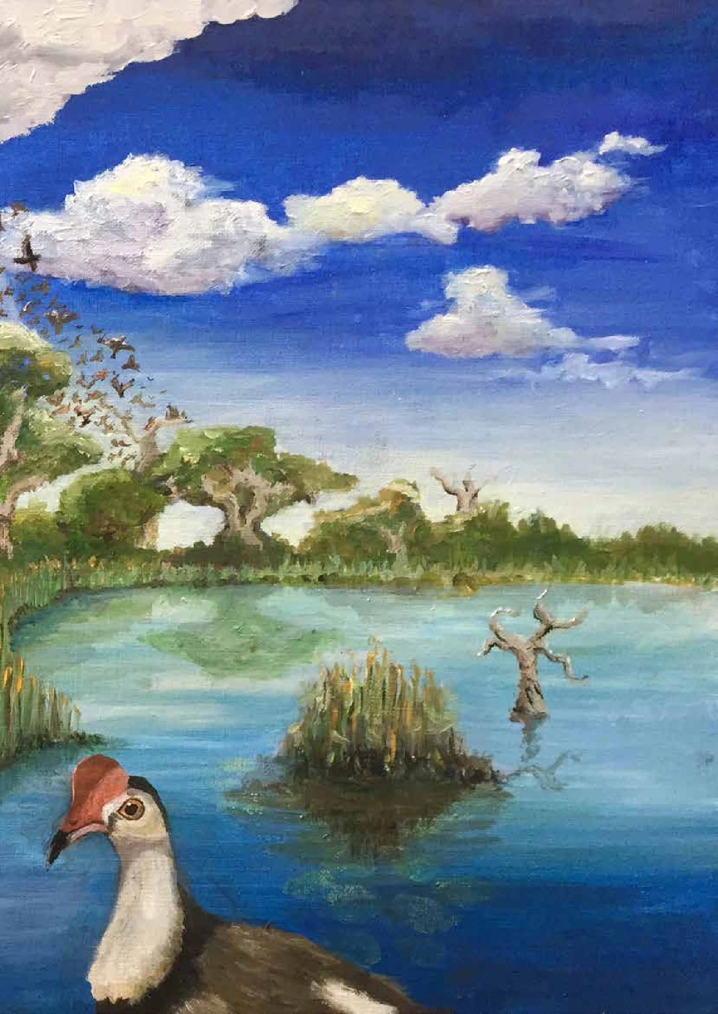 The wetland from another angle — a red-capped bird in the foreground, reeds and silver water.